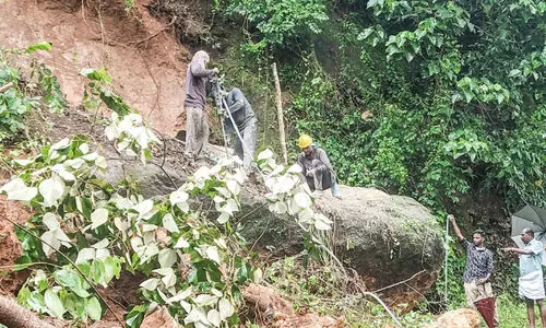 മഴ: അതീവ ജാഗ്രത; മ​ണ്ണി​ടി​ഞ്ഞും മ​രം വീ​ണും ഗ​താ​ഗ​ത ത​ട​സ്സം