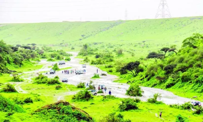 സ​ലാ​ല​യി​ലും ചാ​റ്റ​ൽ മ​ഴ​യെ​ത്തി ഇ​നി കു​ളി​ര​ണി​യും ഖ​രീ​ഫ്