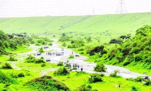 സ​ലാ​ല​യി​ലും ചാ​റ്റ​ൽ മ​ഴ​യെ​ത്തി ഇ​നി കു​ളി​ര​ണി​യും ഖ​രീ​ഫ്