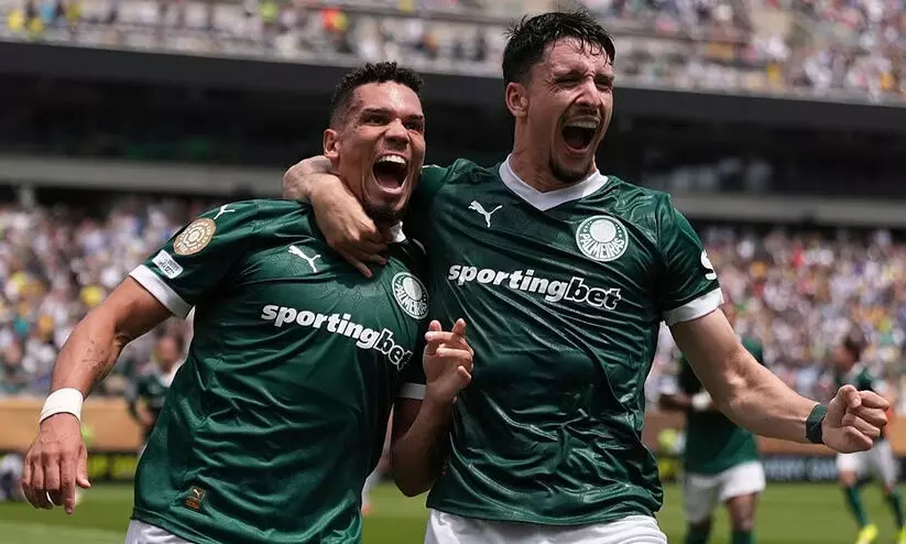 palmeiras 9686 palmeiras 9686