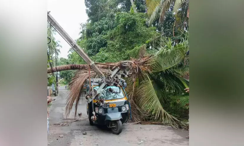 ഓ​ട്ടോ​ക്ക് മു​ക​ളി​ൽ വൈ​ദ്യു​തി​ത്തൂ​ൺ പൊ​ട്ടി​വീ​ണു