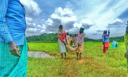 തൊഴിലുറപ്പിൽ ഒന്നാമത് വയനാട് തൊഴിലുറപ്പിൽ ഒന്നാമത് വയനാട്