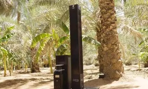 സ്മാർട്ട് കെണി: അബൂദബിയിൽ കൊതുക് നിയന്ത്രണം വിജയം സ്മാർട്ട് കെണി: അബൂദബിയിൽ കൊതുക് നിയന്ത്രണം വിജയം