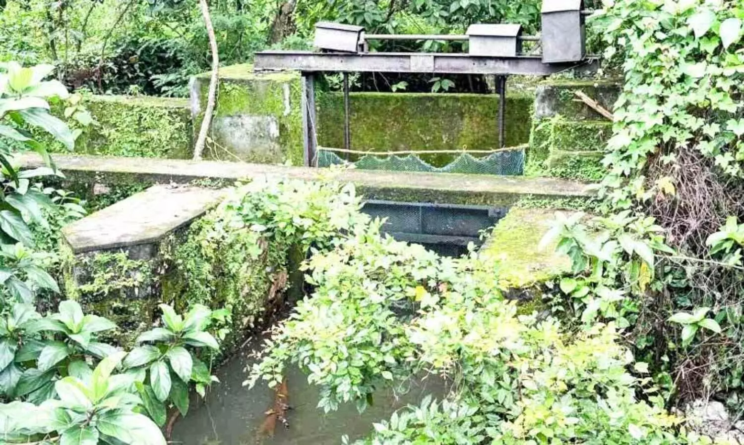 വെള്ളപ്പൊക്കത്തിന്​ എങ്ങനെ ഷട്ടർ ഇടും; വരാൽ പാലത്തിന് കുറുകെയുള്ള ഷട്ടറിന്‍റെ അശാസ്ത്രീയത പരിഹരിക്കണമെന്ന് ആവശ്യം