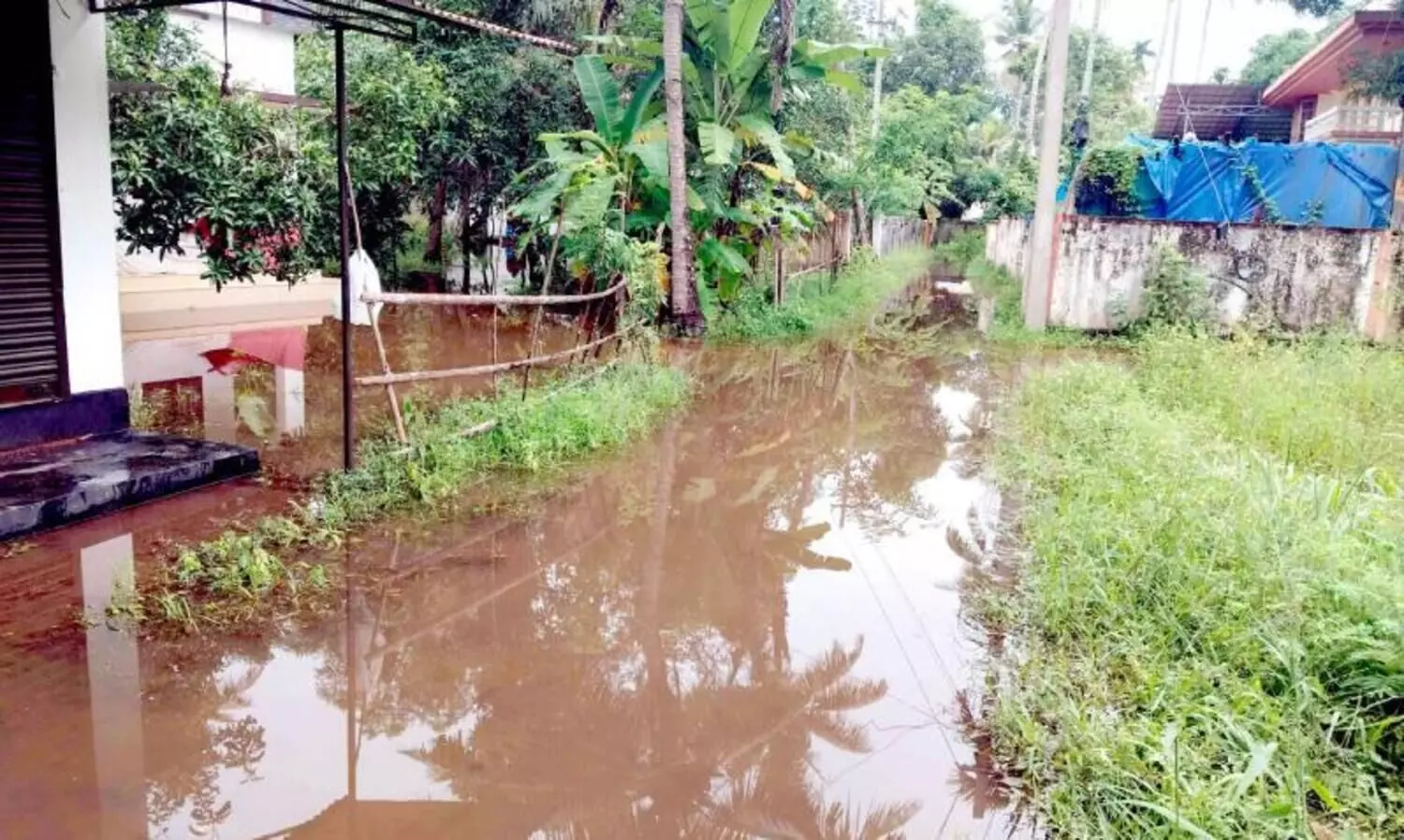 ര​ണ്ട​ര പ​തി​റ്റാ​ണ്ടി​ന്റെ ദു​രി​തം; ചെ​മ്പൈ​പാ​ട​ത്തു​കാ​രോ​ട് ക​നി​വ് കാ​ട്ടാ​തെ അ​ധി​കാ​രി​ക​ൾ