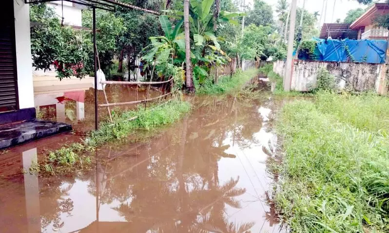 രണ്ടര പതിറ്റാണ്ടിന്റെ ദുരിതം; ചെമ്പൈപാടത്തുകാരോട് കനിവ് കാട്ടാതെ അധികാരികൾ രണ്ടര പതിറ്റാണ്ടിന്റെ ദുരിതം; ചെമ്പൈപാടത്തുകാരോട് കനിവ് കാട്ടാതെ അധികാരികൾ