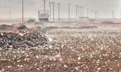 വേ​ന​ലി​ൽ ആ​ശ്വാ​സ​മാ​യി മ​ഴ, ആ​ലി​പ്പ​ഴ വ​ർ​ഷം