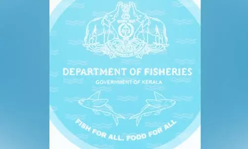 കണക്കുകൾ സമർപ്പിക്കുന്നില്ല; ഫിഷറീസ്​സംഘങ്ങൾക്കെതിരെ വടിയെടുത്ത്​ ഡയറക്ടർ