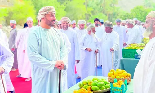 മാ​മ്പ​ഴ​മാ, മാ​മ്പ​ഴം, ഒ​മാ​നി മാ​മ്പ​ഴം...