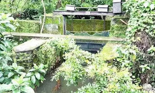 വെള്ളപ്പൊക്കത്തിന് എങ്ങനെ ഷട്ടർ ഇടും; വരാൽ പാലത്തിന് കുറുകെയുള്ള ഷട്ടറിന്റെ അശാസ്ത്രീയത പരിഹരിക്കണമെന്ന് ആവശ്യം വെള്ളപ്പൊക്കത്തിന് എങ്ങനെ ഷട്ടർ ഇടും; വരാൽ പാലത്തിന് കുറുകെയുള്ള ഷട്ടറിന്റെ അശാസ്ത്രീയത പരിഹരിക്കണമെന്ന് ആവശ്യം