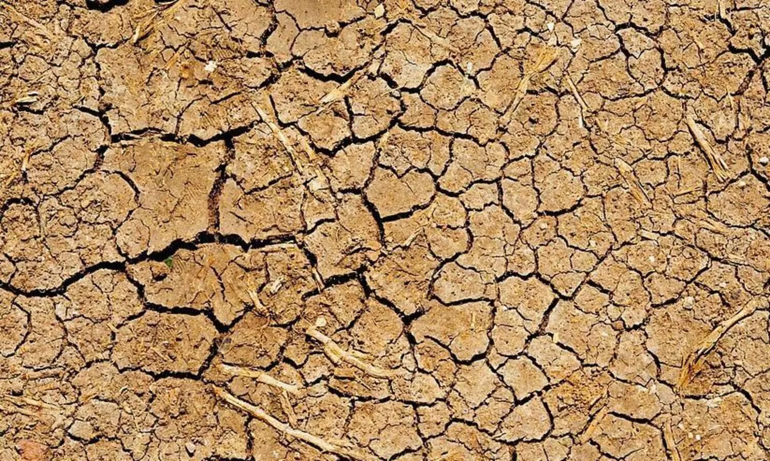 വർഷങ്ങൾ നീണ്ടുനിൽക്കുന്ന വരൾച്ച ദരിദ്ര രാജ്യങ്ങളിൽ സ്ത്രീകൾക്കെതിരായ ലൈംഗികാതിക്രമങ്ങൾ വർധിപ്പിക്കുന്നുവെന്ന് പഠനം