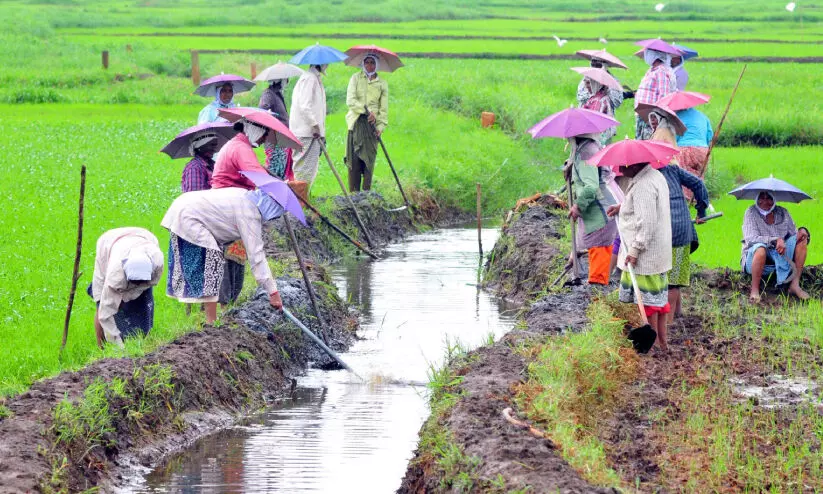 തൊഴിലുറപ്പ് പദ്ധതിയിൽ ഗു​രു​തര ക്രമക്കേടെന്ന് കേന്ദ്ര റിപ്പോർട്ട്