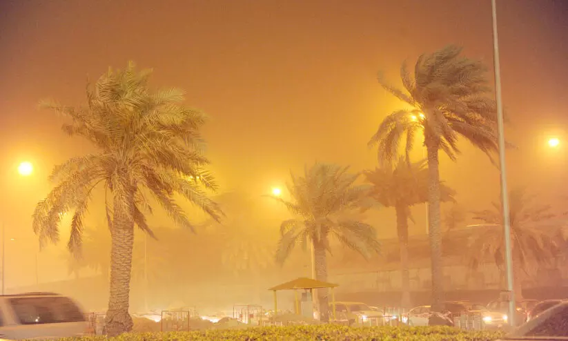 വെ​ള്ളം കു​ടി​ക്കും...  ക​ന​ത്തചൂ​ടി​നൊ​പ്പം പൊ​ടി​ക്കാ​റ്റും വ​രു​ന്നു