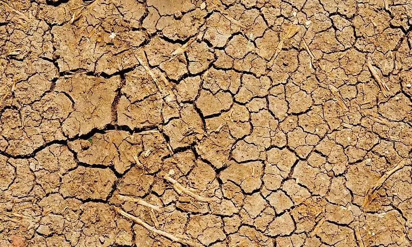 വർഷങ്ങൾ നീണ്ടുനിൽക്കുന്ന വരൾച്ച ദരിദ്ര രാജ്യങ്ങളിൽ സ്ത്രീകൾക്കെതിരായ ലൈംഗികാതിക്രമങ്ങൾ വർധിപ്പിക്കുന്നുവെന്ന് പഠനം