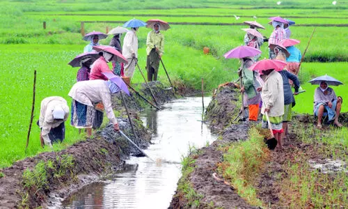 തൊഴിലുറപ്പ് പദ്ധതിയിൽ ഗു​രു​തര ക്രമക്കേടെന്ന് കേന്ദ്ര റിപ്പോർട്ട്
