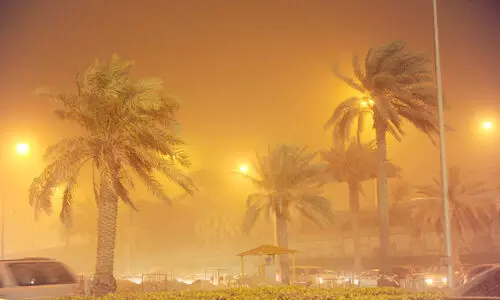 വെ​ള്ളം കു​ടി​ക്കും...  ക​ന​ത്തചൂ​ടി​നൊ​പ്പം പൊ​ടി​ക്കാ​റ്റും വ​രു​ന്നു