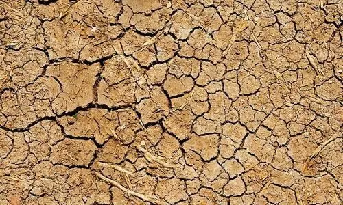 വർഷങ്ങൾ നീണ്ടുനിൽക്കുന്ന വരൾച്ച ദരിദ്ര രാജ്യങ്ങളിൽ സ്ത്രീകൾക്കെതിരായ ലൈംഗികാതിക്രമങ്ങൾ വർധിപ്പിക്കുന്നുവെന്ന് പഠനം