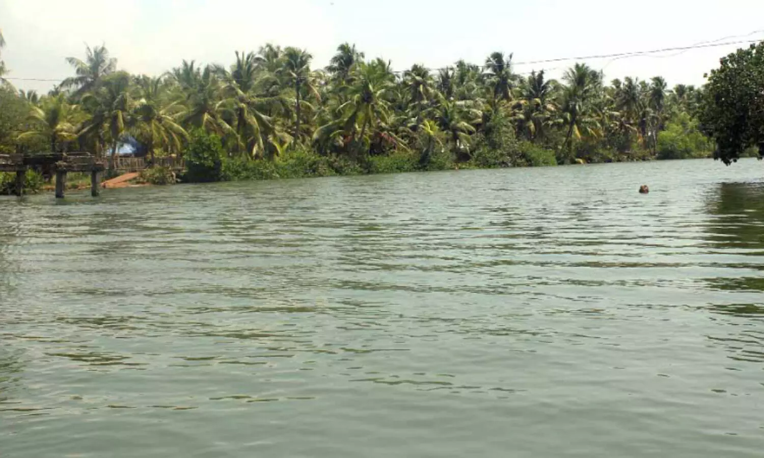 ഇനി പെരിങ്ങാലത്തേക്ക് അടിപൊളിയാത്ര; കൊന്നയിൽകടവ് പാലം യാഥാർഥ്യത്തിലേക്ക്