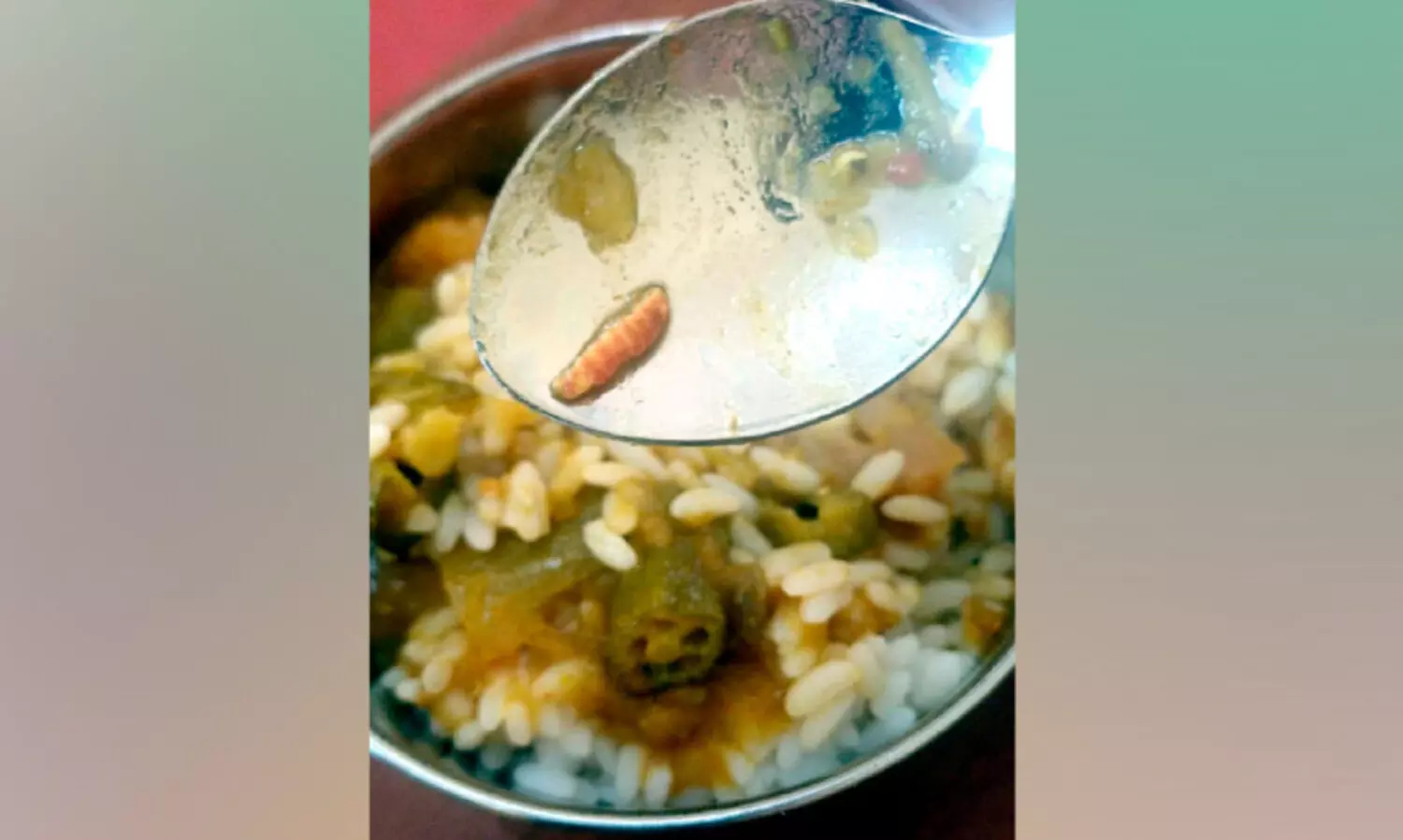 വിദ്യാർഥികൾക്ക് വിതരണം ചെയ്ത ഭക്ഷണത്തിൽ പുഴു