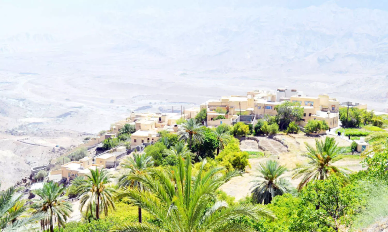 ചൂ​ട് കൂ​ടി; ഫാ​മു​ക​ൾ തേ​ടി പ്ര​വാ​സി​ക​ൾ