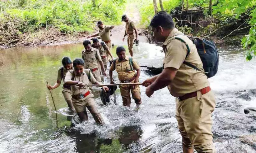 കാട്ടാനകളെ തുരത്തി; എ​ട്ടോ​ളം വ​ന​പാ​ല​ക​ർ​ക്ക് നി​സ്സാ​ര പ​രി​ക്കേ​റ്റു