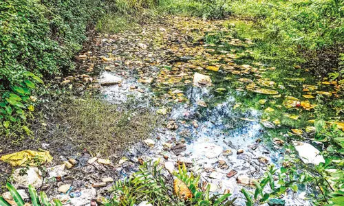 മാള പള്ളിപ്പുറം റോഡ്;  കുന്നുകൂടി പ്ലാസ്റ്റിക് മാലിന്യം