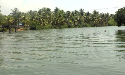 ഇനി പെരിങ്ങാലത്തേക്ക് അടിപൊളിയാത്ര; കൊന്നയിൽകടവ് പാലം യാഥാർഥ്യത്തിലേക്ക് ഇനി പെരിങ്ങാലത്തേക്ക് അടിപൊളിയാത്ര; കൊന്നയിൽകടവ് പാലം യാഥാർഥ്യത്തിലേക്ക്