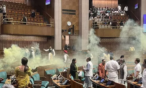 പാർലമെന്റ് പുകയാക്രമണം: രണ്ട് പ്രതികൾക്ക് ജാമ്യം