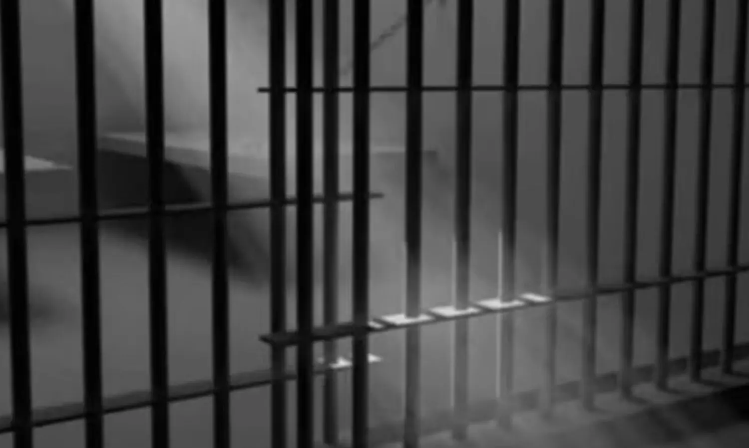 ബി.ജെ.പി പ്രവർത്തകരായ സഹോദരങ്ങളെ വധിക്കാൻ ശ്രമിച്ചകേസിൽ10 സി.പി.എം പ്രവര്‍ത്തകര്‍ക്ക് തടവും പിഴയും