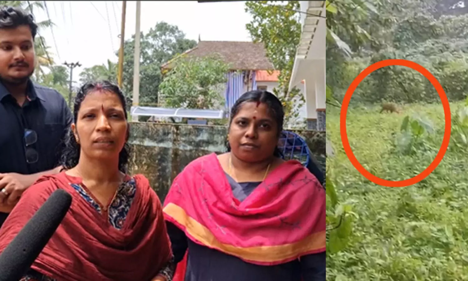 ‘പട്ടിയുടെ ബഹളം കേട്ടാണ് നോക്കിയത്, ആ ജീവി അടുത്ത പറമ്പി​ലേക്ക് നടന്ന് പോയി, മെബൈലിൽ ഞാനെടുത്ത വിഡിയോ കണ്ട് ഭർത്താവാണ് പുലിയാണെന്ന് സ്ഥിരീകരിച്ചത്’ -തിരുവല്ലയിലെ പൊടിയാടിയിൽ പുലിയിറങ്ങി; പരിഭ്രാന്തിയിൽ നാട്ടുകാർ