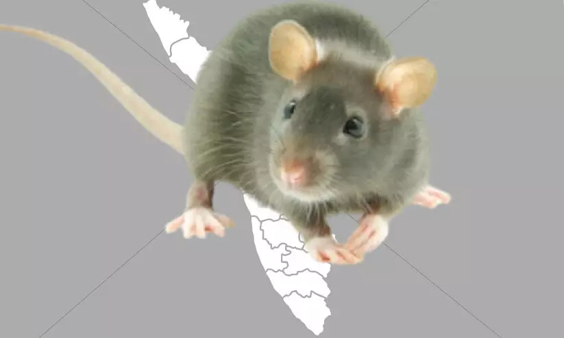 ജൂണിൽ എലിപ്പനി ബാധിച്ച് മരിച്ചത് 22 പേർ