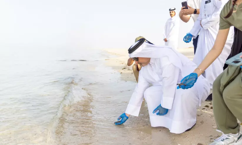 ക​ട​ലാ​മ​ക്കു​ഞ്ഞു​ങ്ങ​ളെ തു​റ​ന്നു​വി​ട്ടു; ഇ​നി ക​ട​ലാ​ഴ​ങ്ങ​ളി​ലേ​ക്ക്