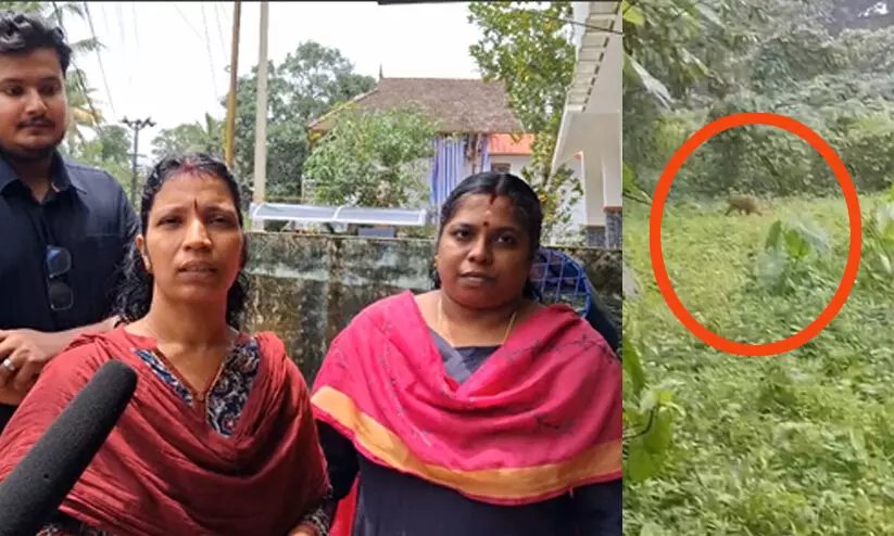 ‘പട്ടിയുടെ ബഹളം കേട്ടാണ് നോക്കിയത്, ആ ജീവി അടുത്ത പറമ്പി​ലേക്ക് നടന്ന് പോയി, മെബൈലിൽ ഞാനെടുത്ത വിഡിയോ കണ്ട് ഭർത്താവാണ് പുലിയാണെന്ന് സ്ഥിരീകരിച്ചത്’ -തിരുവല്ലയിലെ പൊടിയാടിയിൽ പുലിയിറങ്ങി; പരിഭ്രാന്തിയിൽ നാട്ടുകാർ