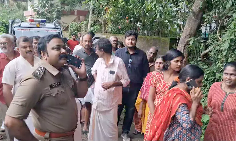 മണിക്കൂറുകളോളം ഭീതി, ഒടുവിൽ ‘പുലി’ പൂച്ചപ്പുലിയായി VIDEO