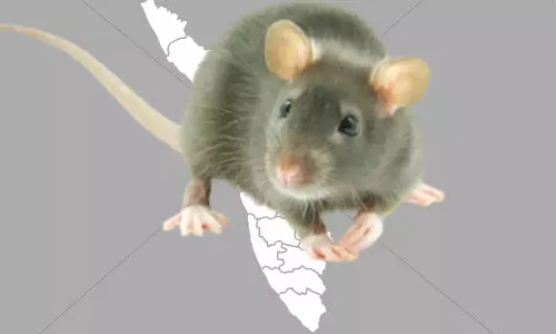 ജൂണിൽ എലിപ്പനി ബാധിച്ച് മരിച്ചത് 22 പേർ