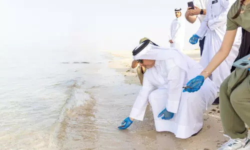 ക​ട​ലാ​മ​ക്കു​ഞ്ഞു​ങ്ങ​ളെ തു​റ​ന്നു​വി​ട്ടു; ഇ​നി ക​ട​ലാ​ഴ​ങ്ങ​ളി​ലേ​ക്ക്