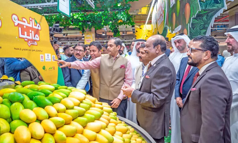 mango mania  mango fest