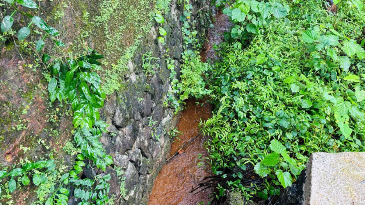 ഒരാളെ കൊലപ്പെടുത്തിയെന്ന് വേങ്ങര സ്വദേശിയുടെ മൊഴി, 39 വർഷത്തിനു ശേഷം കൊല്ലപ്പെട്ട ആൾക്കായി അന്വേഷണം ഒരാളെ കൊലപ്പെടുത്തിയെന്ന് വേങ്ങര സ്വദേശിയുടെ മൊഴി, 39 വർഷത്തിനു ശേഷം കൊല്ലപ്പെട്ട ആൾക്കായി അന്വേഷണം