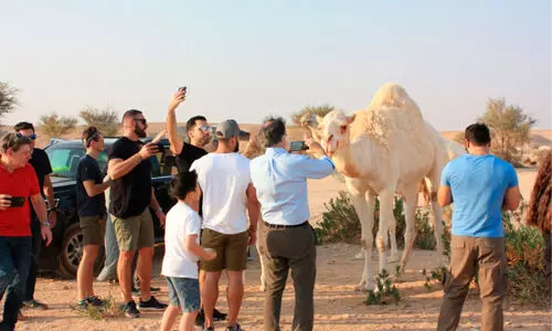 ടൂ​റി​സം മേ​ഖ​ല​യി​ൽ റെ​ക്കോ​ഡു​ക​ൾ മ​റി​ക​ട​ന്ന് സൗ​ദി അ​റേ​ബ്യ