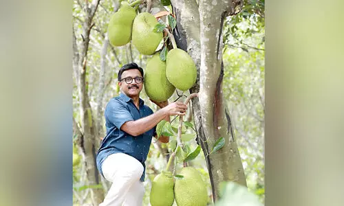 ഇന്ന് ലോക ചക്ക ദിനം; ടെനിസന്റെ ‘ഓപറേഷൻ സിന്ദൂർ’,ചക്ക കൃഷിയിലെ നൂറുമേനി