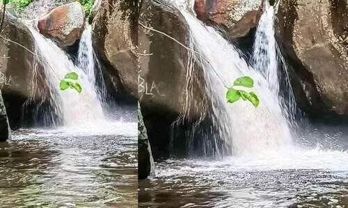 തെന്മല വെള്ളച്ചാട്ടങ്ങളിലേക്ക് സഞ്ചാരികളുടെ ഒഴുക്ക്