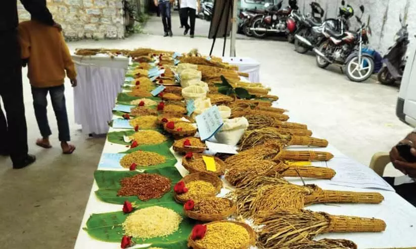 വി​ത്തു​ത്സ​വം ഇ​ന്നും നാ​ളെ​യും മൈ​സൂ​രു​വി​ൽ