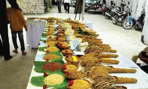 വി​ത്തു​ത്സ​വം ഇ​ന്നും നാ​ളെ​യും മൈ​സൂ​രു​വി​ൽ