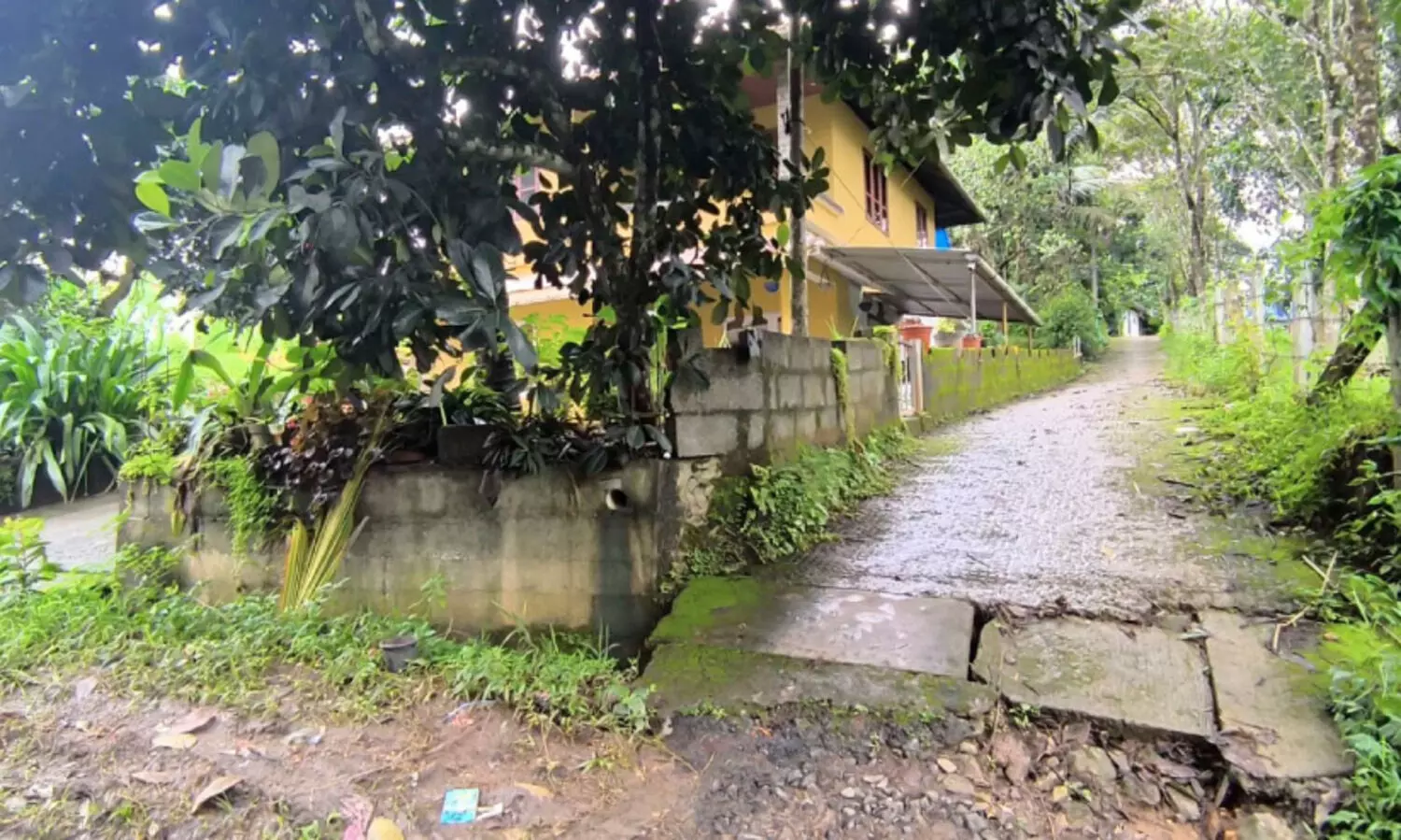 പ​ട്ട​യ പ്ര​ശ്ന​ത്തി​ൽ സം​യു​ക്ത പ​ഠ​നം; ചൂ​രി​മ​ല​യി​ലെ കു​ടും​ബ​ങ്ങ​ൾ​ പ്ര​തീ​ക്ഷയിൽ