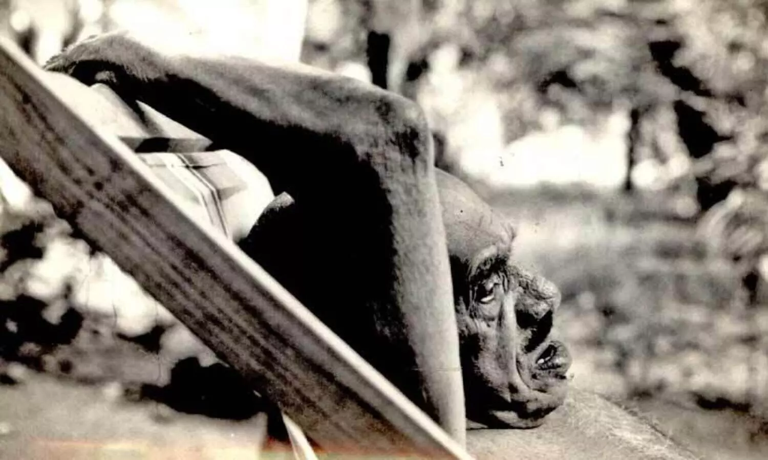 എ​ന്റെ പ​ക്ക​ൽ ശാ​പ​ങ്ങ​ളി​ല്ല, അ​നു​ഗ്ര​ഹ​ങ്ങ​ളേ​യു​ള്ളൂ