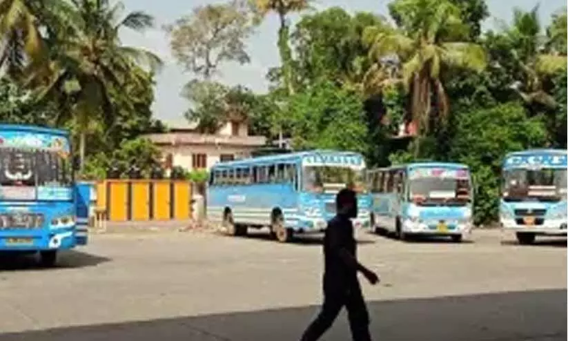 representative image representative image