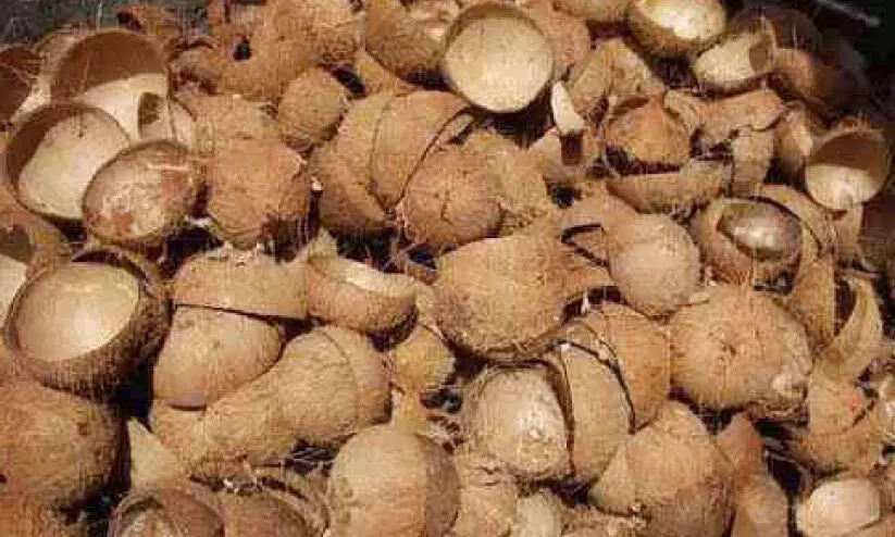 പൊൻചിരട്ട; വിപണിയിൽ വിലയേറെ