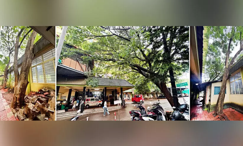 പൊട്ടിവീഴണോ കണ്ണുതുറക്കാൻ? പൊട്ടിവീഴണോ കണ്ണുതുറക്കാൻ?