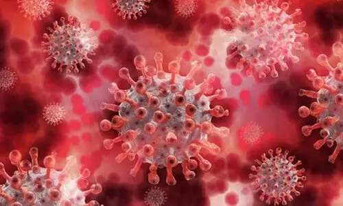 Nipah Virus Nipah Virus