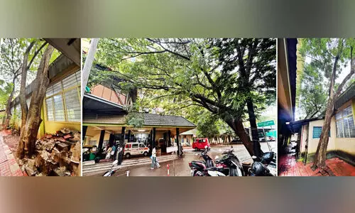 പൊട്ടിവീഴണോ കണ്ണുതുറക്കാൻ? പൊട്ടിവീഴണോ കണ്ണുതുറക്കാൻ?